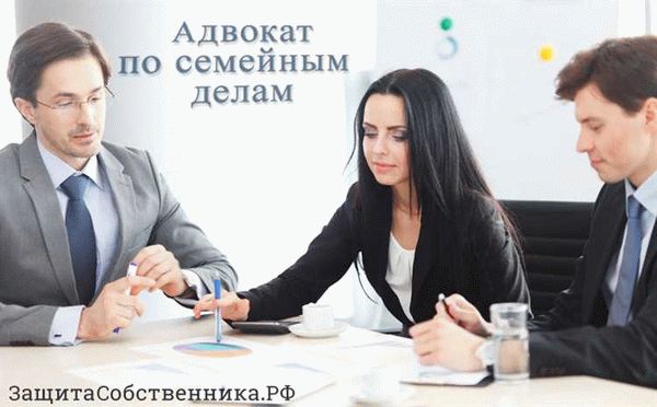 Консультация и защита в семейных спорах