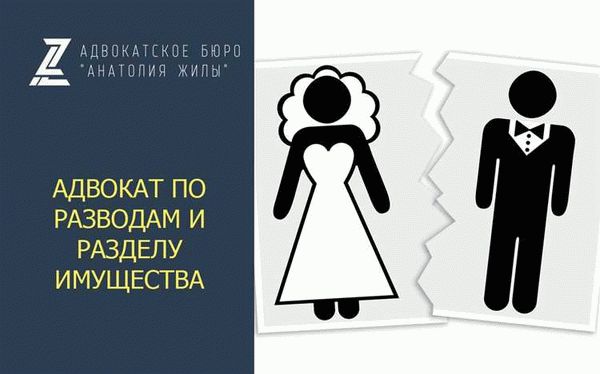 Роль адвоката в бракоразводном процессе и разделе имущества