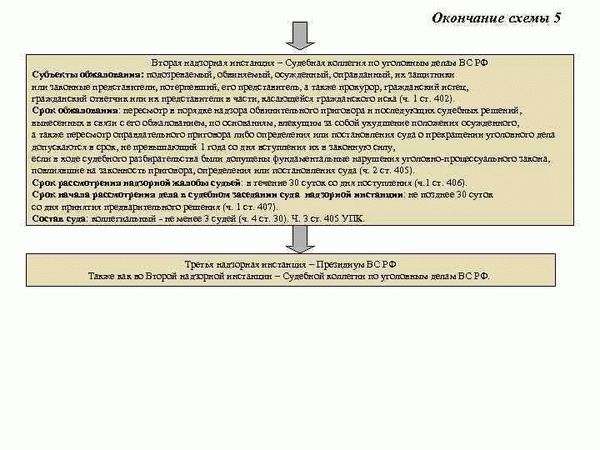 Определение апелляционной инстанции