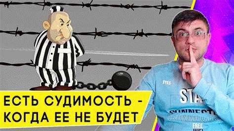 Какой срок снимают судимость за кражу в России?