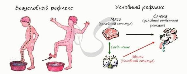 Важность условного срока в системе наказаний