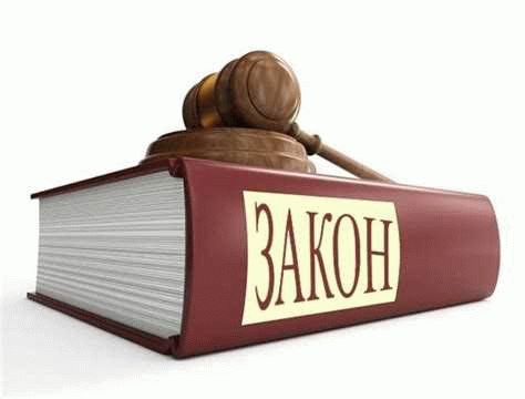 Первые действия после кражи