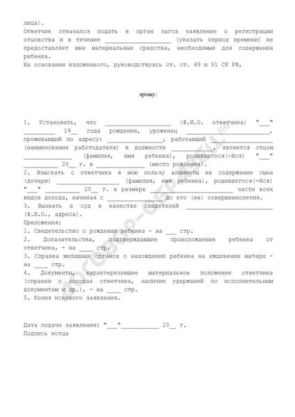 Где и как можно оплатить госпошлину при подаче иска об установлении отцовства