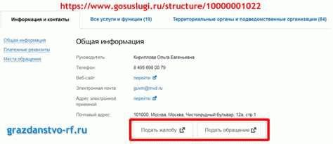 Оформление вида на жительство