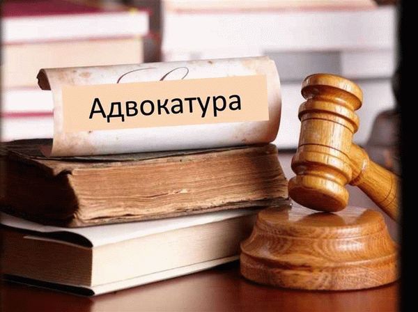 Права и обязанности адвоката в уголовных делах