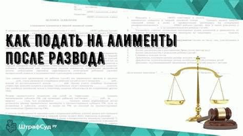 Документы, необходимые для подачи заявления на алименты