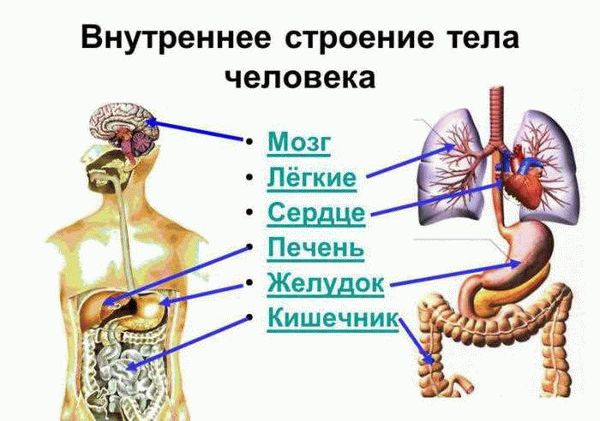 Как опознать похитителя?