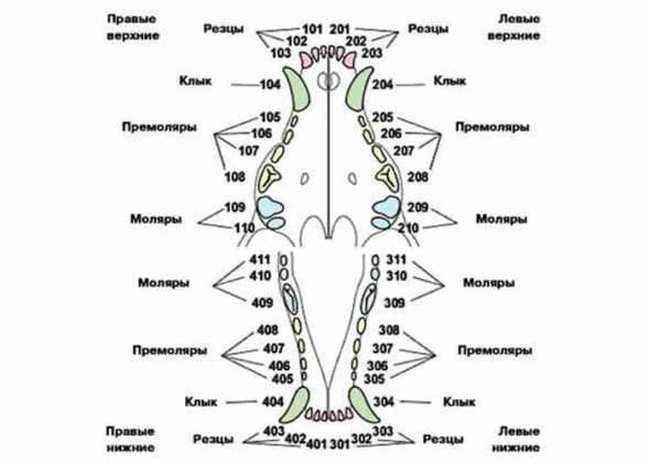 Организуйте поисковую акцию с помощью друзей и знакомых