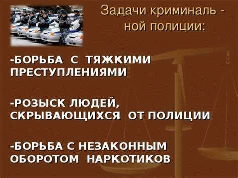 6. Обучение и повышение компетенции специалистов