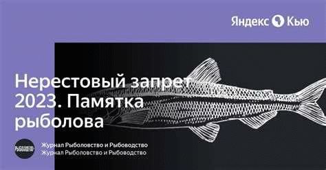 Перспективы развития рыболовства в Московской области после введения запрета