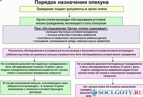 Опекунство над родственником: важные моменты, о которых стоит помнить