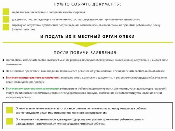 Понятие и основные принципы опеки