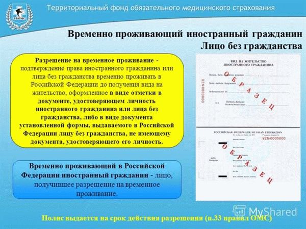 Основание для гражданства России: обзор и подробности