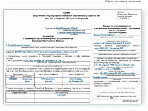 Система штрафов за нарушение правил ВНЖ