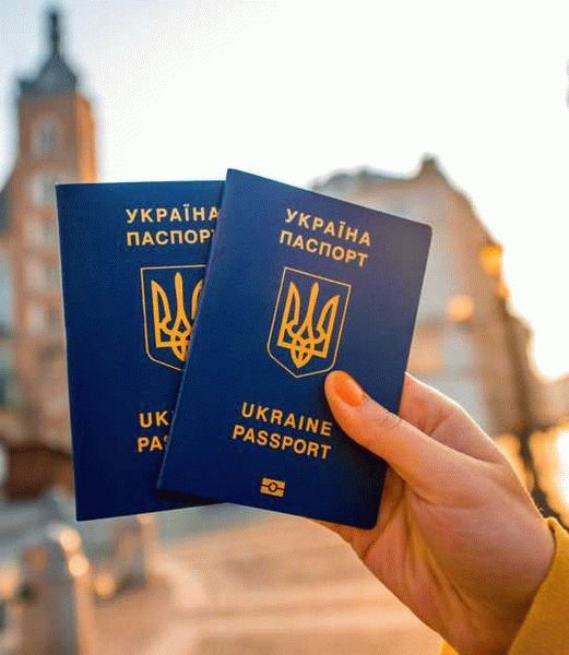 Шаги для получения гражданства Украины