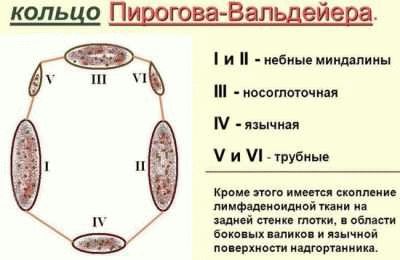 Грабежи в мире