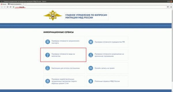 Способы проверить готовность вида на жительство