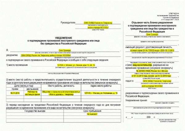 Как проверить правильность оформления ВНЖ в России: общая информация