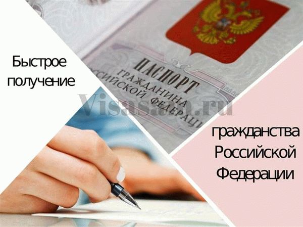 Общая информация