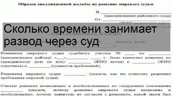 Этапы процедуры развода через суд