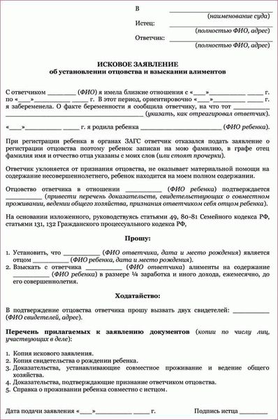 Процедура установления отцовства по Гражданскому процессуальному кодексу РФ