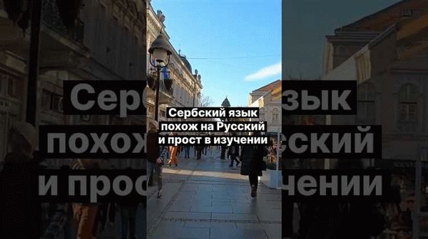 Права и обязанности владельцев ВНЖ в Сербии