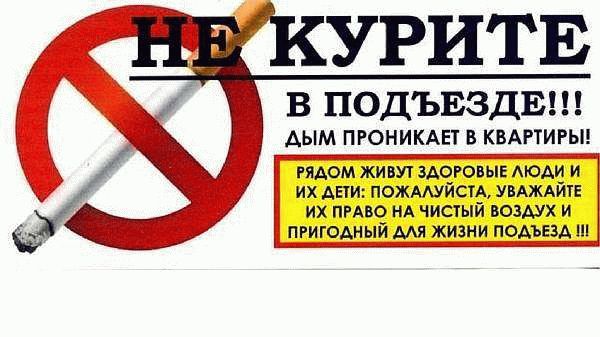 Определение и цель закона