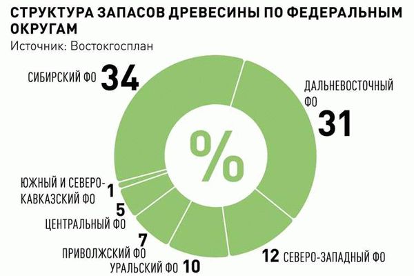 Последствия запрета на экспорт кругляка