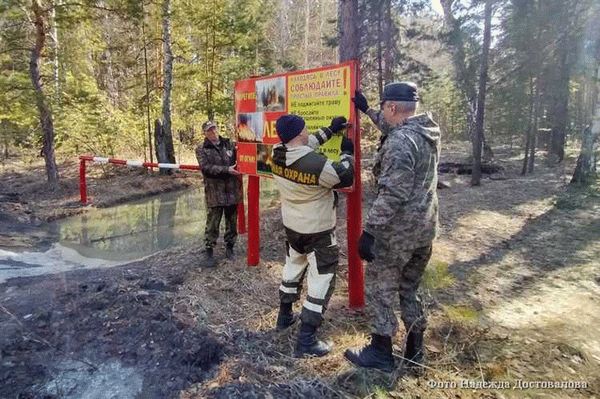 Облегчение давления на леса и ограничение доступа