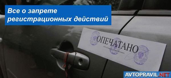 Отзывы владельцев автомобилей: что они думают о запрете