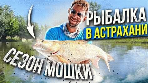  Причины запрета на рыбалку в Башкирии 