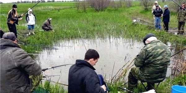 Перспективы развития водных экосистем Тюменской области